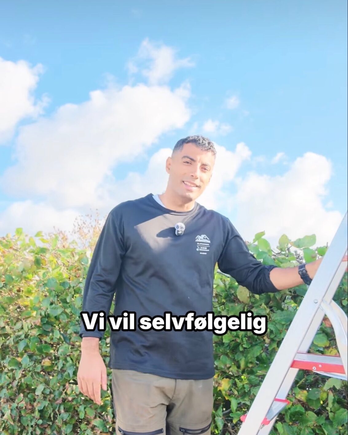 Klip fra kortformat-video: mand med mikrofon og stige foran en høj hæk